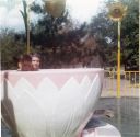 Fairytale_forest_1966.jpg